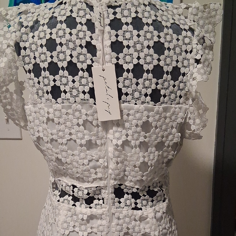 Petal & Pup Ivory Floral Lace Midi Dress - Picture 6 of 6